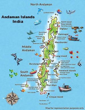 Corporate Team Retreat in Andaman